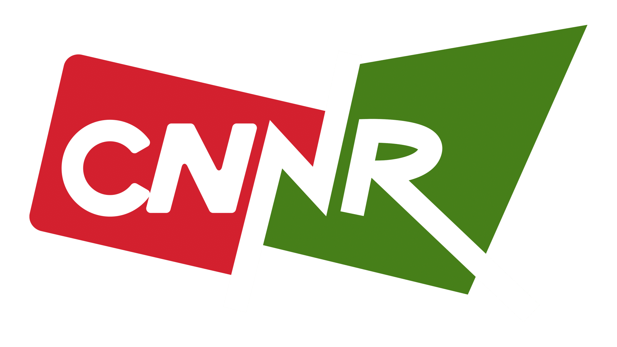 Conseil national de la Nouvelle Résistance